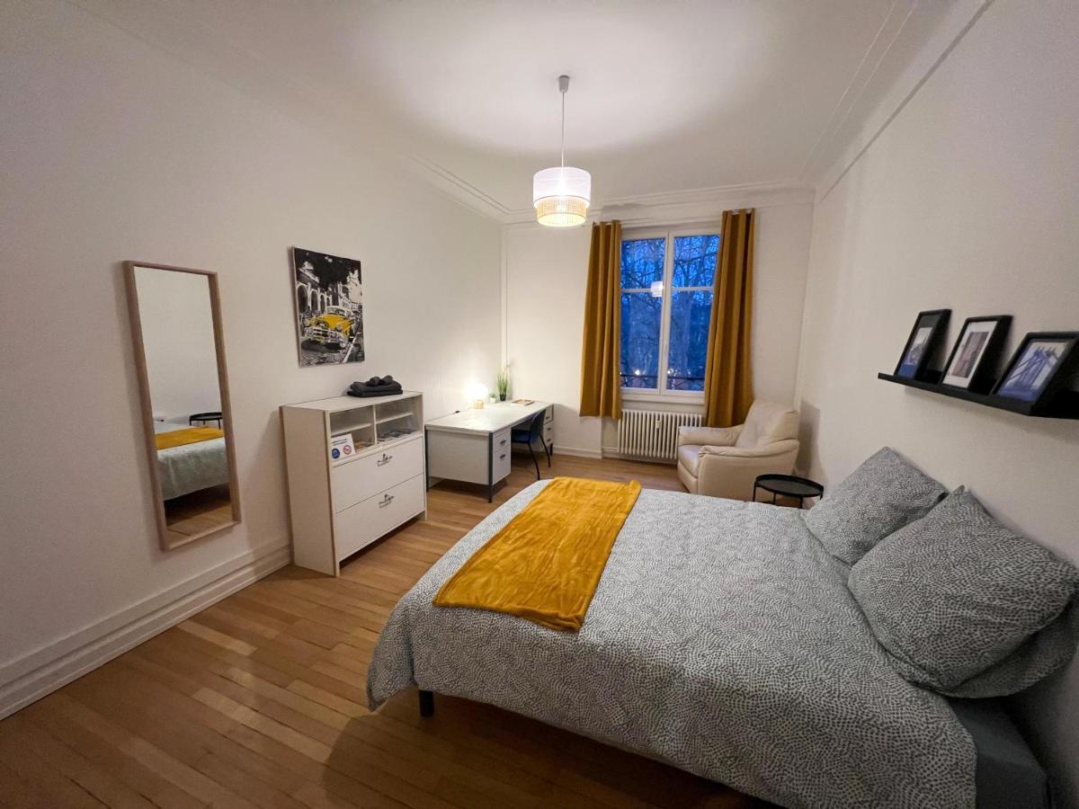 Dans Un Spacieux - 100m2 Au Centre Proche Gare Séjour chez l'habitant Mulhouse