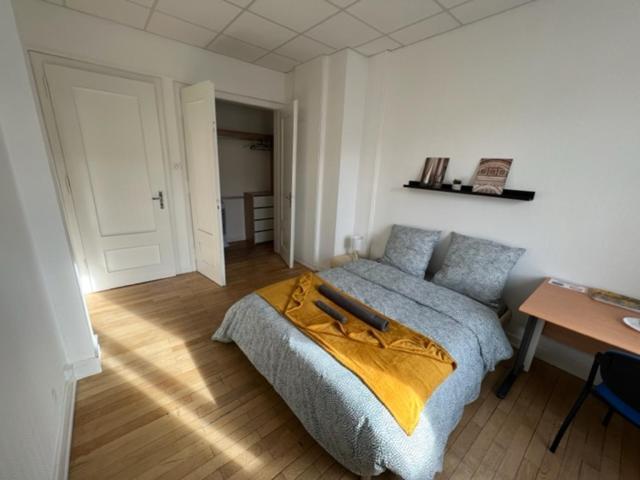 Dans Un Spacieux - 100m2 Au Centre Proche Gare Séjour chez l'habitant